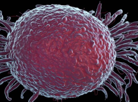 Mikroskopische Ansicht des Helicobacter pylori-Bakteriums im Magengewebe