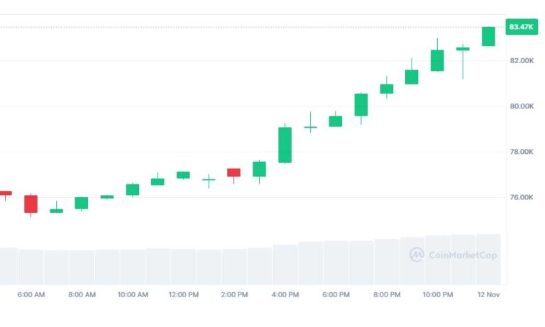 Bitcoin bei 100.000 Dollar! Sicher?