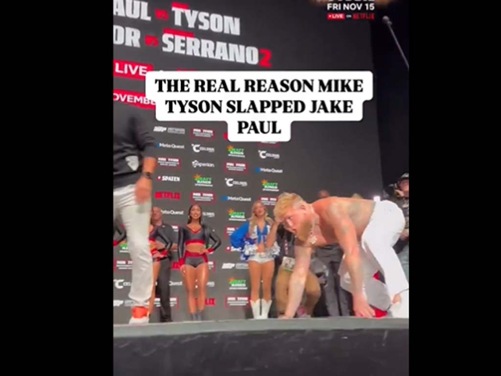 Jake Paul Gorilla