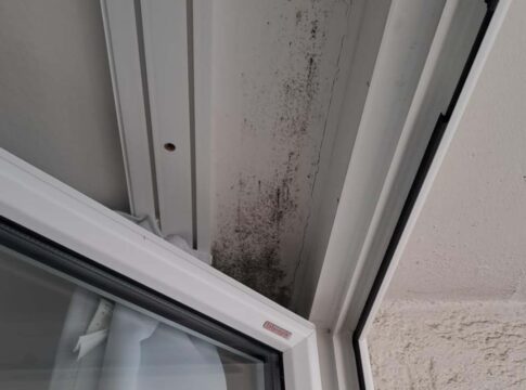 Vorher Schimmel Tonis Schimmelspray