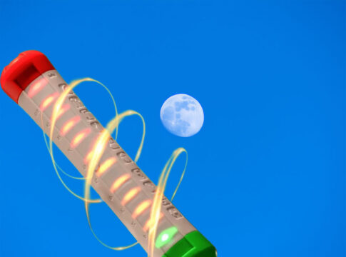 Stick-Flip Wurfstab - Chuck-a-Rubba | Chuckarubba
