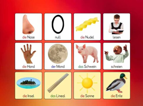 Screenshot aus der Lernsoftware „Sag’s auf Deutsch“ mit bebilderten Wortkarten zu Begriffen wie „die Nase“, „der Mond“, „das Schwein“ und „lesen“ - mit Artikeln und anschaulichen Illustrationen zur Sprachförderung.