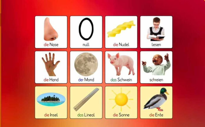 Screenshot aus der Lernsoftware „Sag’s auf Deutsch“ mit bebilderten Wortkarten zu Begriffen wie „die Nase“, „der Mond“, „das Schwein“ und „lesen“ - mit Artikeln und anschaulichen Illustrationen zur Sprachförderung.