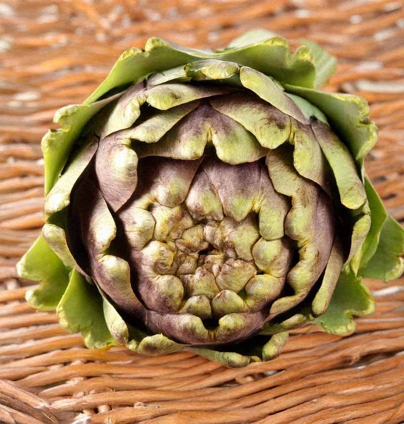 So sieht sie aus: Eine frische Artischocke liegt auf einem geflochtenen Untergrund. Die festen Hüllblätter zeigen, dass sie noch roh und unverarbeitet ist. Sie ist ideal zum Kochen oder Dünsten. Ein Lieblingsgemüse für Leber.