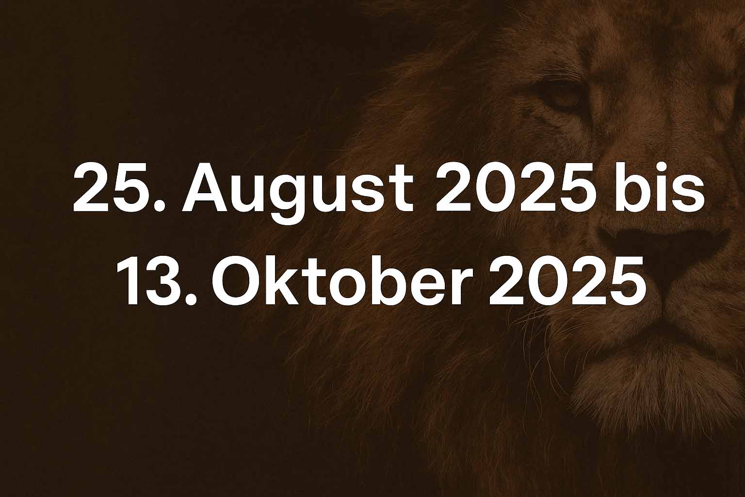 Die Höhle der Löwen startet am 25. August 2025