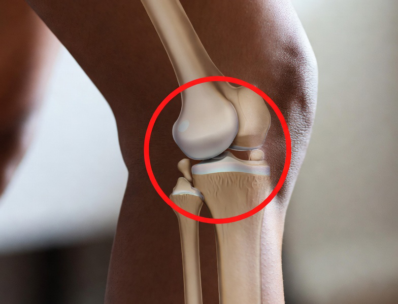 Knie Knochen