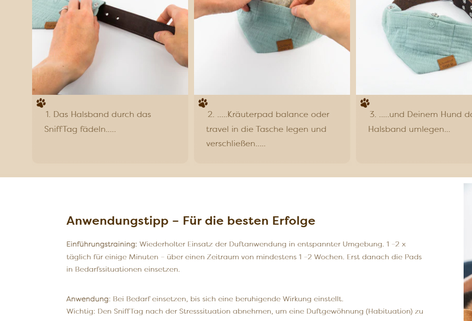 Löwenkind Hund
